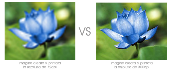 Diferenta dintre o rezolutie de 72dpi si 300dpi Diferenta dintre o rezolutie de 72dpi si 300dpi