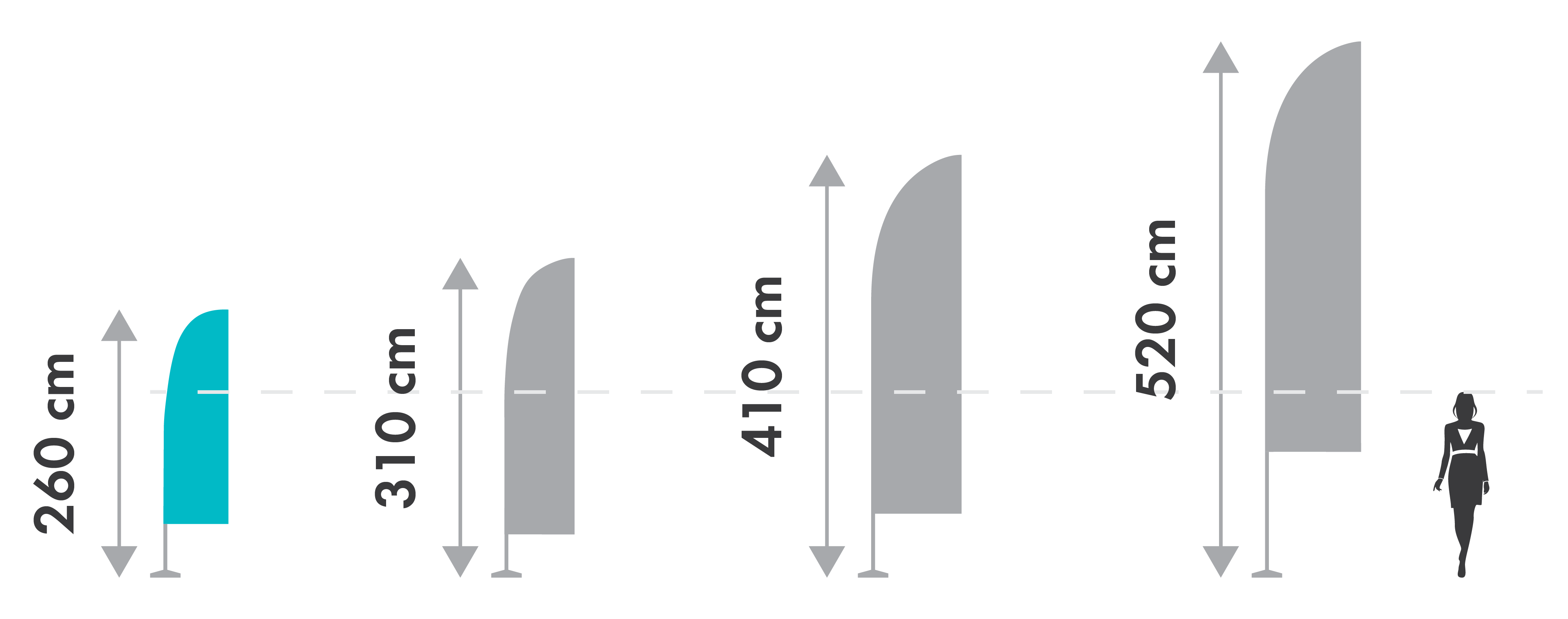 ST-P_schita_S Schita Steag Pana S